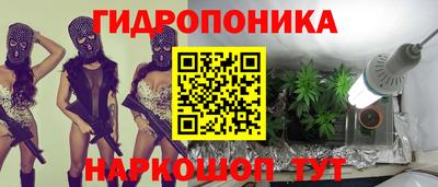 прущие крисы Аша